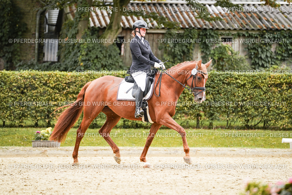 DSC08221 | Pferdegrafie