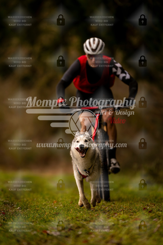 MompixPhotography_2SSTSSBW_2025_SO_Bike-64 | PayLife