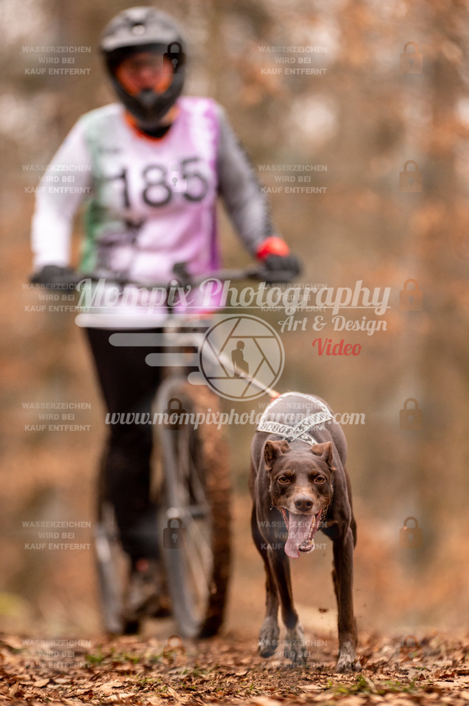 AKM_ST_2023_SAM_Scooter-67 | PayLife