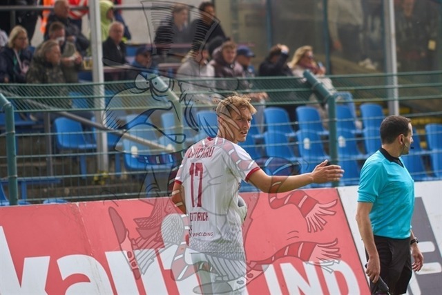 BFC Dynamo vs. FSV Zwickau 038 | mythos-online-redaktion