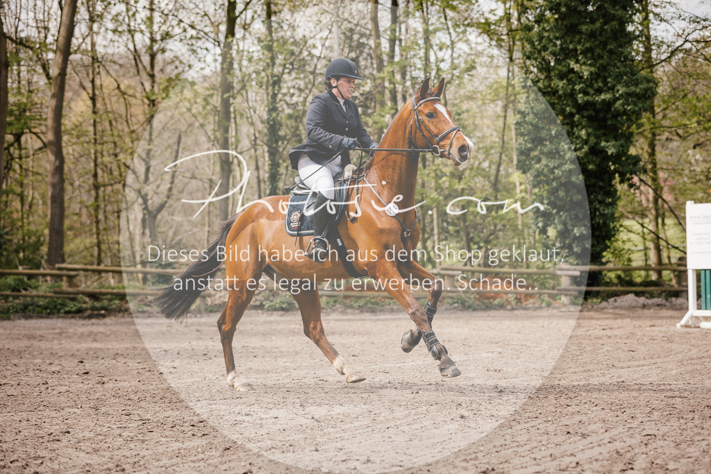3I6A4222 | Stimmungsvolle Portraits und Reitsportfotografie im Ruhrgebiet und im Münsterland.

Pferdefotografie, Hundefotografie, Tierfotografie, Reportagen, Portraits von Tier und Mensch, Turnierfotografie in Bochum, Recklinghausen, Marl, Haltern am See, Dülmen.. - Realisiert mit Pictrs.com