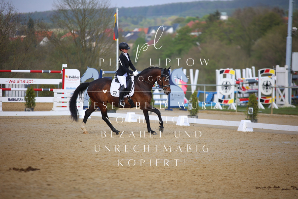 IMGT8816 | pl-fotografie