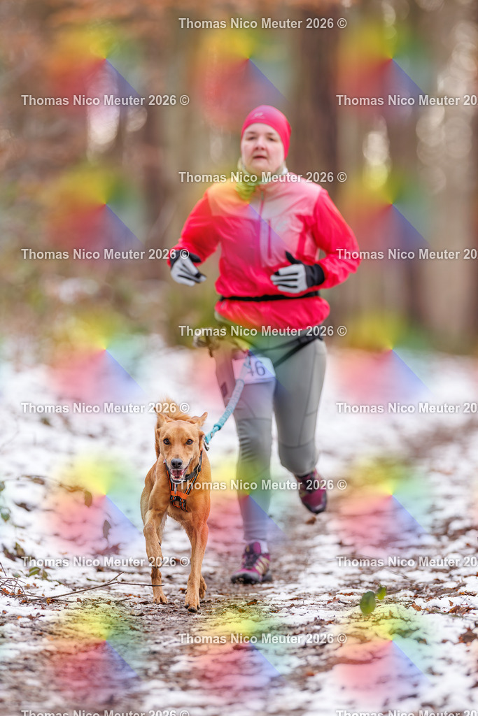 Thomas_Nico_Meuter(C)_223A8771 | Bild von Thomas Nico Meuter - Realisiert mit Pictrs.com