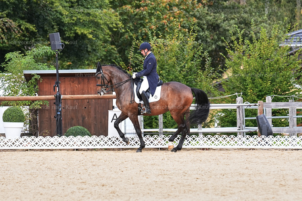 11-226-Dressur S___-Marixx-1739 | working equitationturnier fotograf videograf stoibphotography marixx film working equitation deutschland reitsport turnierfotografie eventfotografie equestrian events
