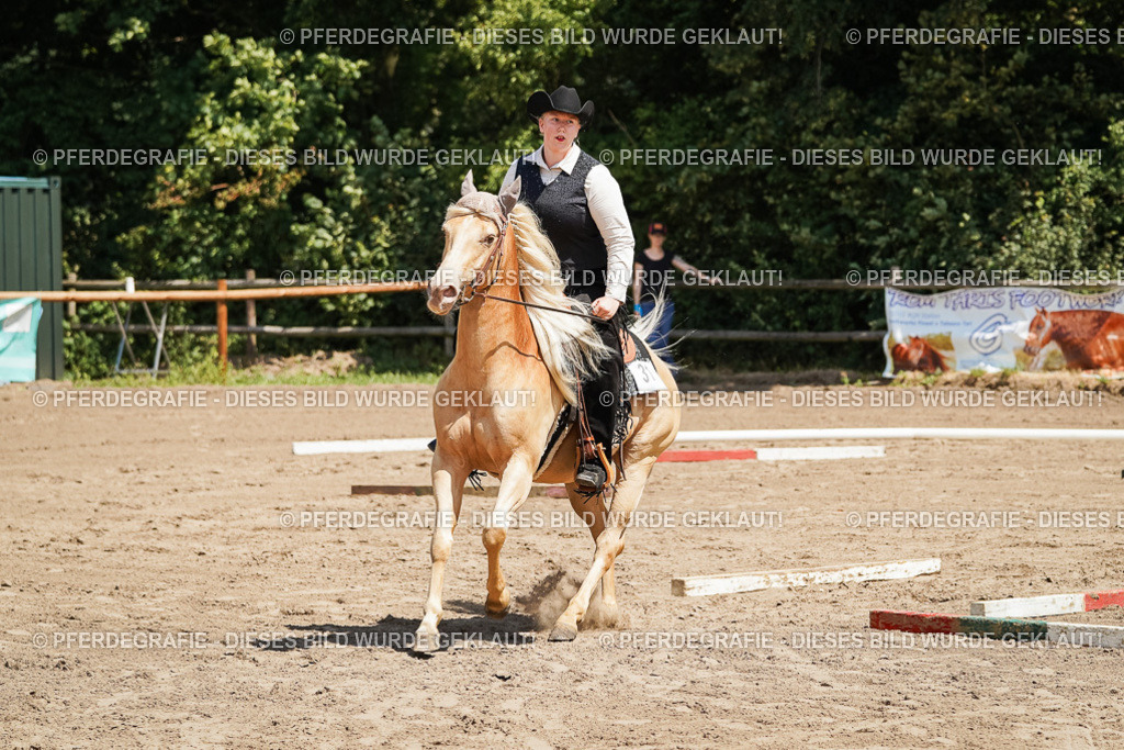 DSC06980 | Pferdegrafie