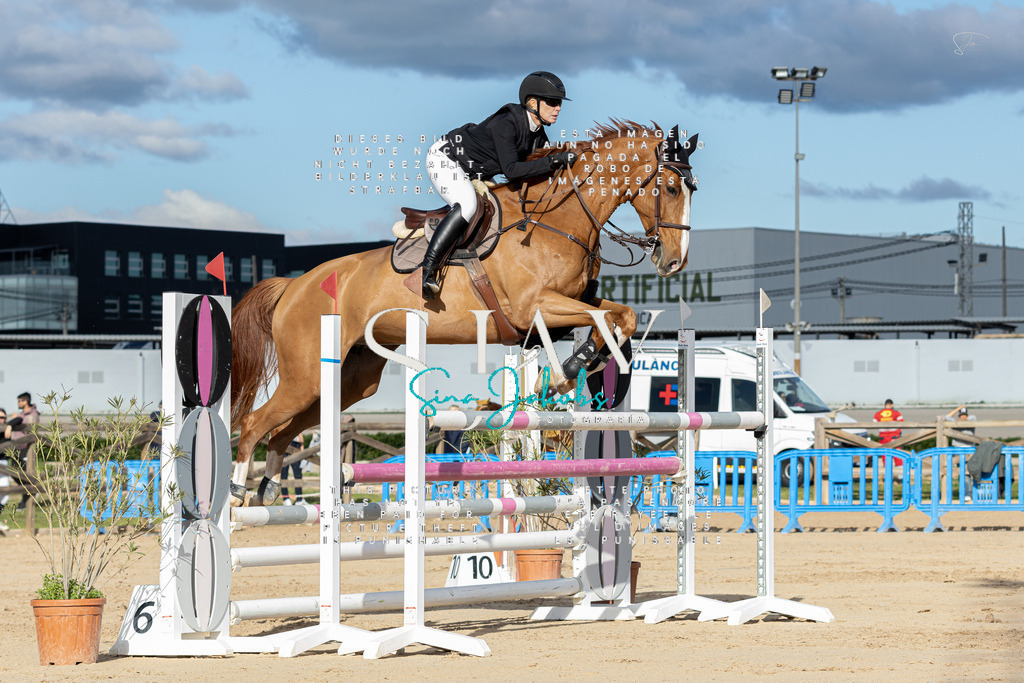 IMG_1968 | s-jay-photography - Realisiert mit Pictrs.com