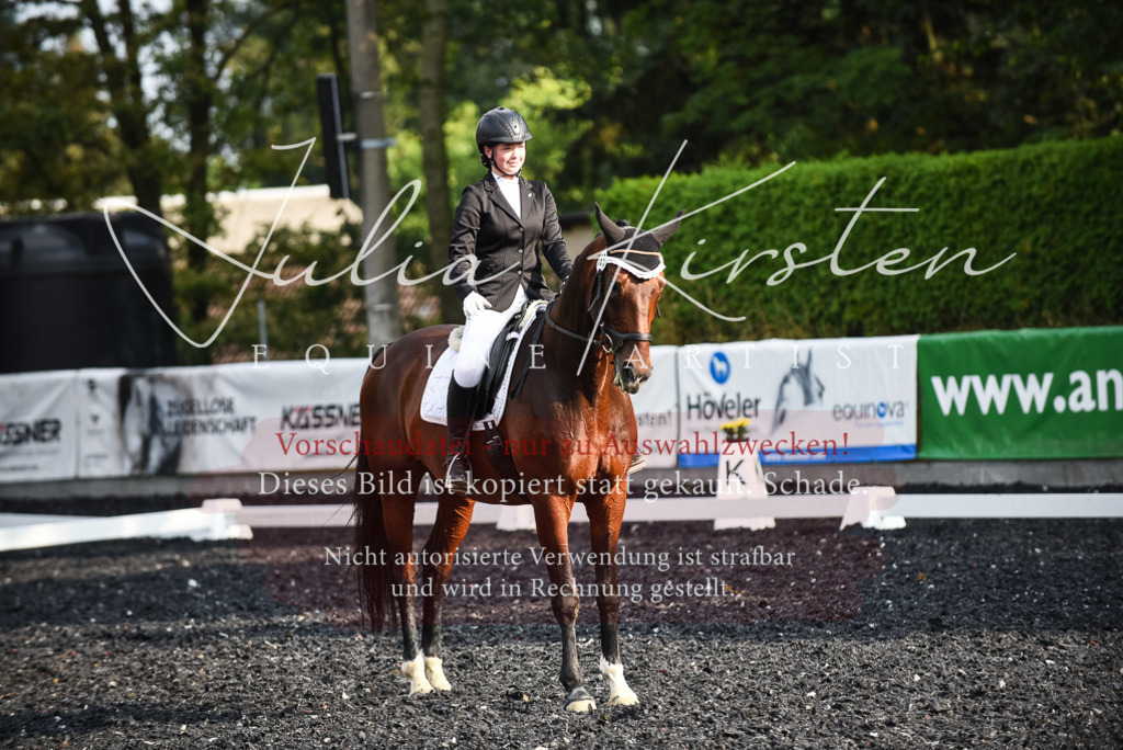 DSC_3325 | Pferde- und Turnierfotografie in Westsachsen. Pferdeportraits, Auftragszeichnungen und intuitive Kunst.