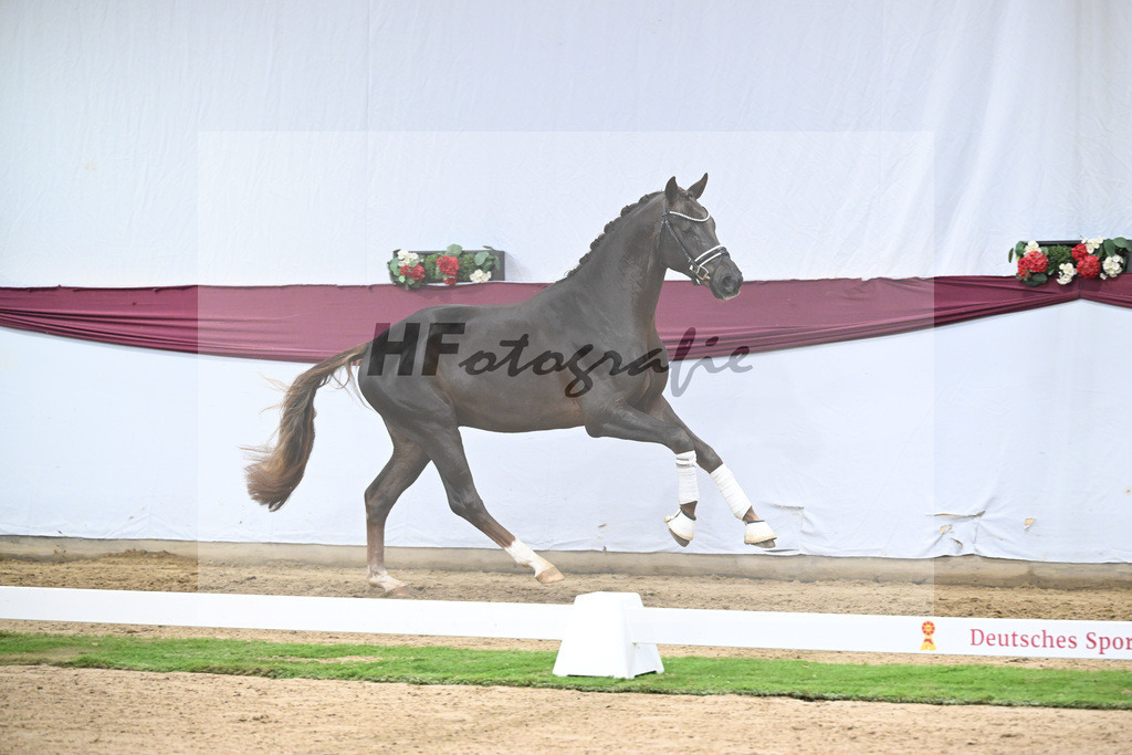 Kat-Nr. 126 Va Bene x Fuerst Jazz_Johannes Gaab_47254199 | hf-fotografie - Realisiert mit Pictrs.com