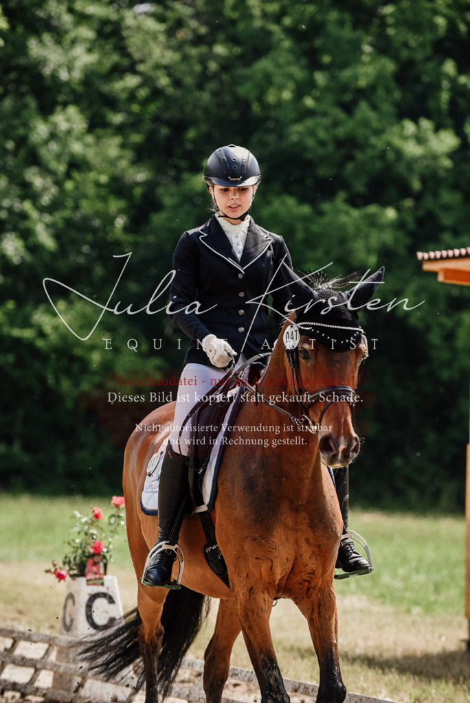 DSC_0887 | Pferde- und Turnierfotografie in Westsachsen. Pferdeportraits, Auftragszeichnungen und intuitive Kunst.