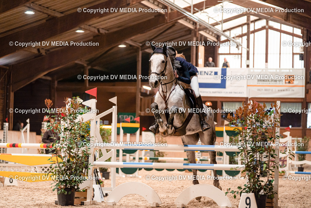 Springen Tag 3-064 | dv-media-shop - Realisiert mit Pictrs.com