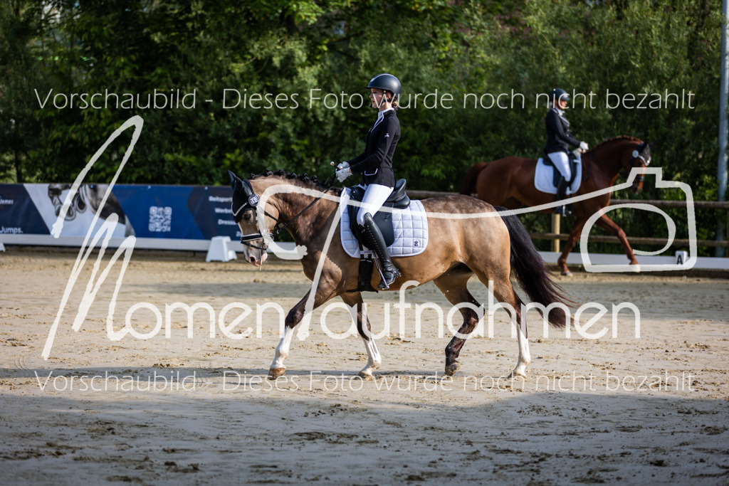 Donop24-A-Dre-009 | MomenTaufnahmen Pferdesportfotos