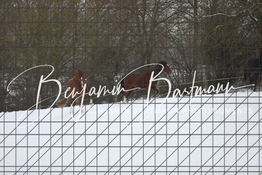 AZ2A3335 | Benjamin Bartmann Photomoments