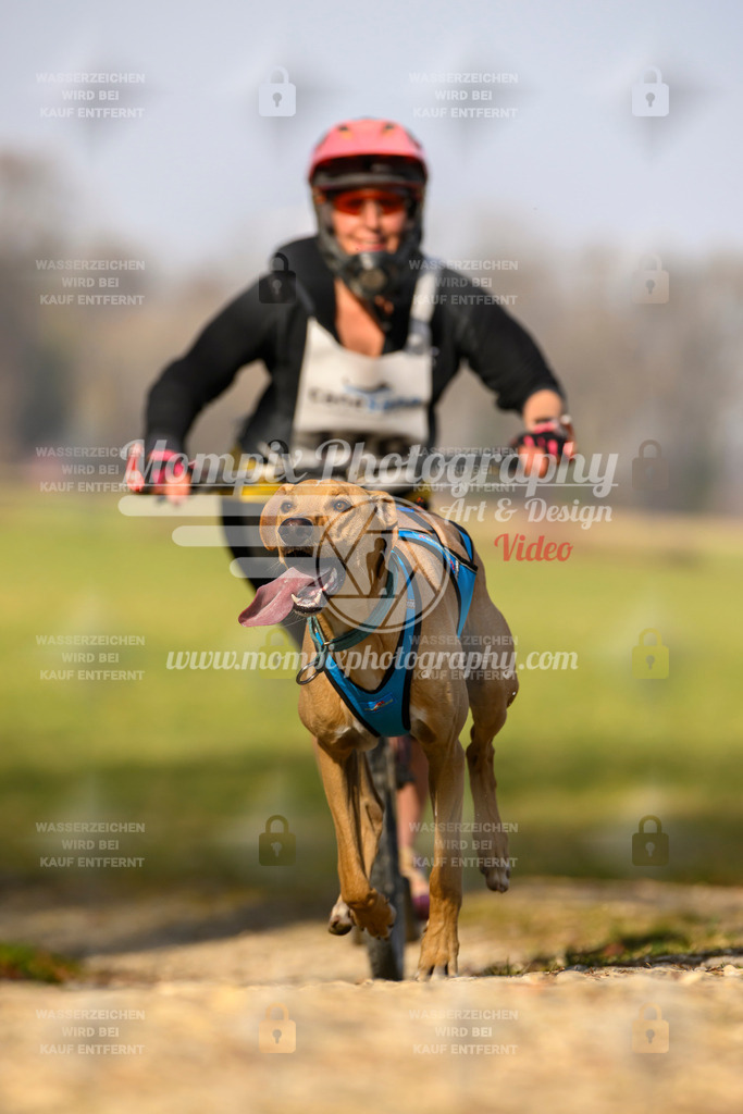 MompixPhotography_6ReiatRennen2026_SA_HappyDog-134 | PayLife