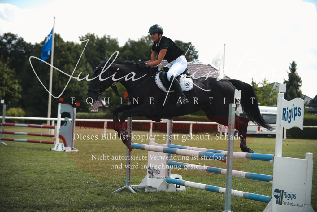 DSC_6688 | Pferde- und Turnierfotografie in Westsachsen. Pferdeportraits, Auftragszeichnungen und intuitive Kunst.
