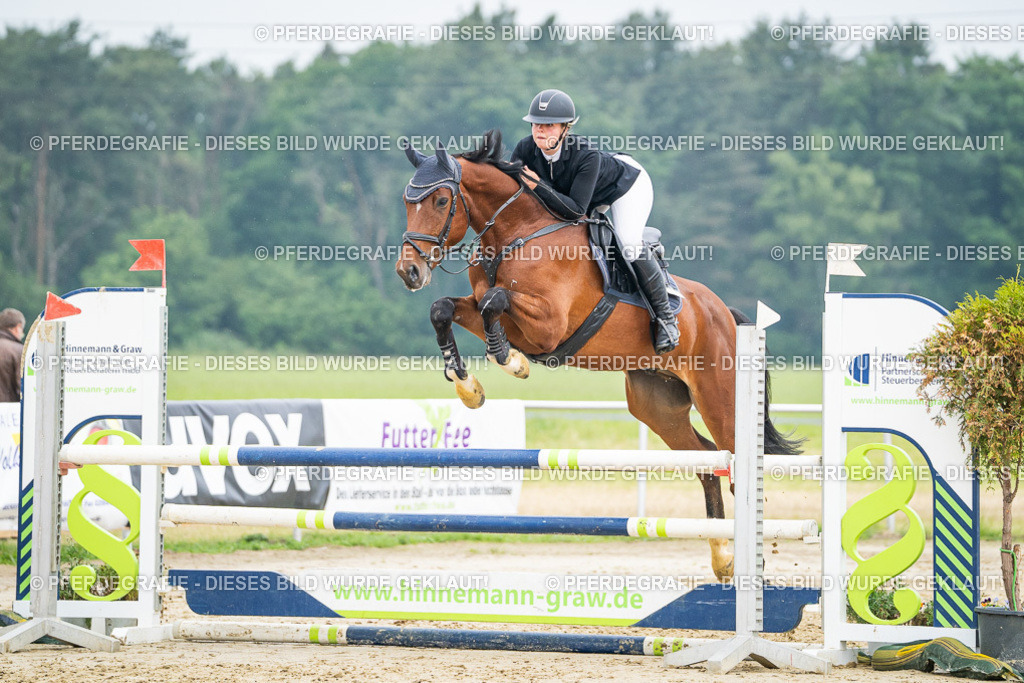 DSC00470 | Pferdegrafie