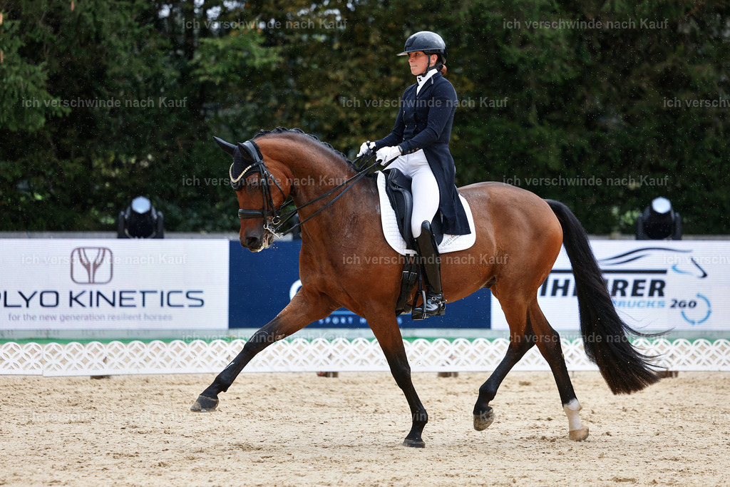 8_1-100-Klasse S_  -StoibPH-3877 | working equitationturnier fotograf videograf stoibphotography marixx film working equitation deutschland reitsport turnierfotografie eventfotografie equestrian events