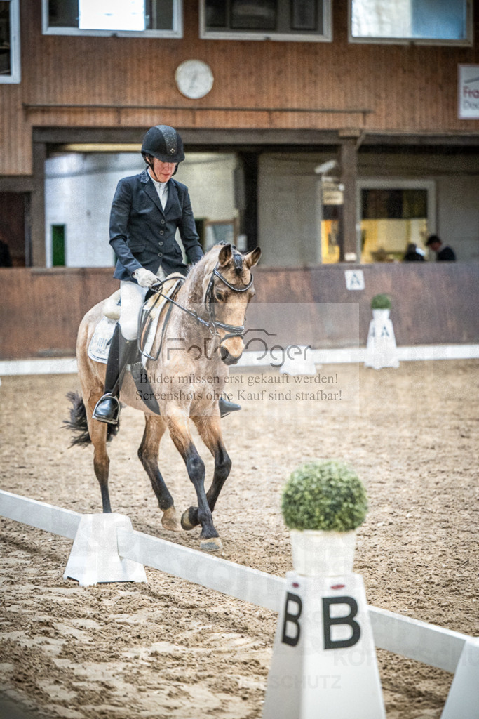 DOS_1334 | Entdecke hochwertige Reitturnierfotos von Foto Oger. Professionell, emotional und authentisch – jetzt Lieblingsmomente im Shop bestellen.Deutschlandweite Turnierfotografie. - Realisiert mit Pictrs.com