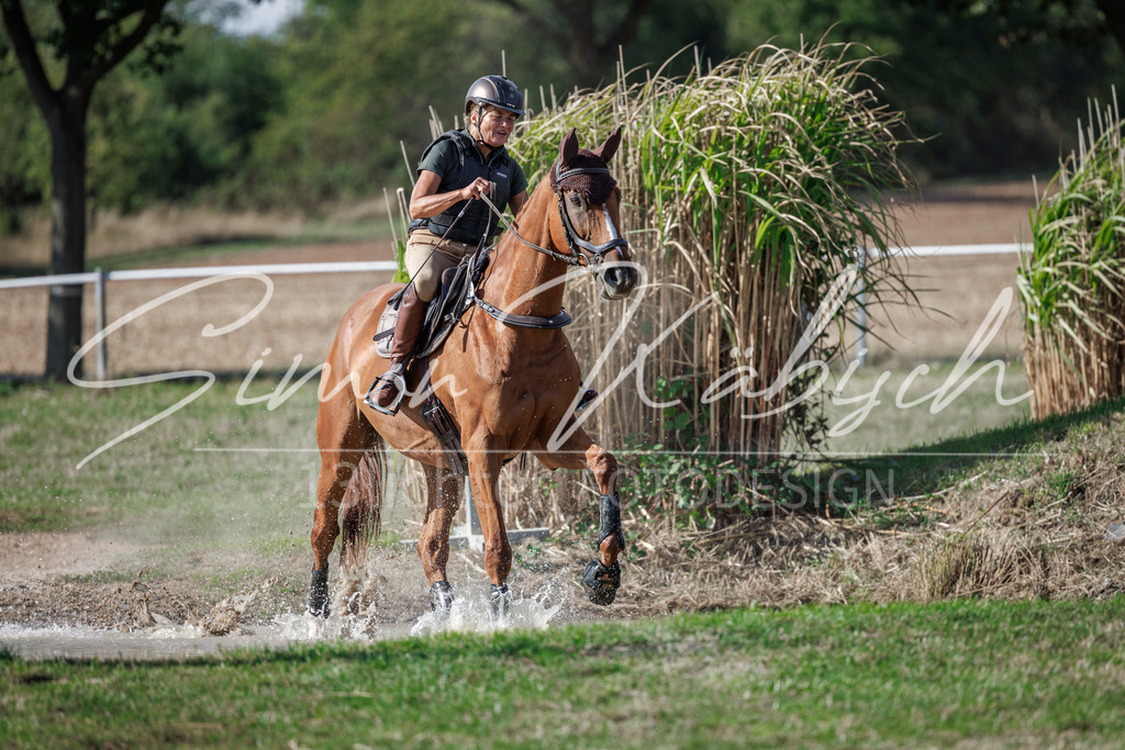 20260905-_3LI0160 | Tierfotografie Pferde, Hunde, Katzen, Haustiere.
Turnierfotografie Reitturniere, Reiten, Springreiten, Dressur in Hanau, dem Main-Kinzig-Kreis und dem Rhein-Main- Gebiet um Frankfurt