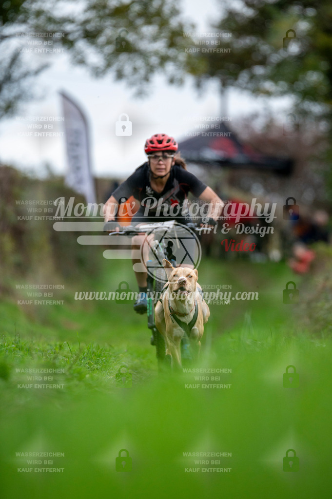 TSB_2023_E8_Bike-24 | PayLife