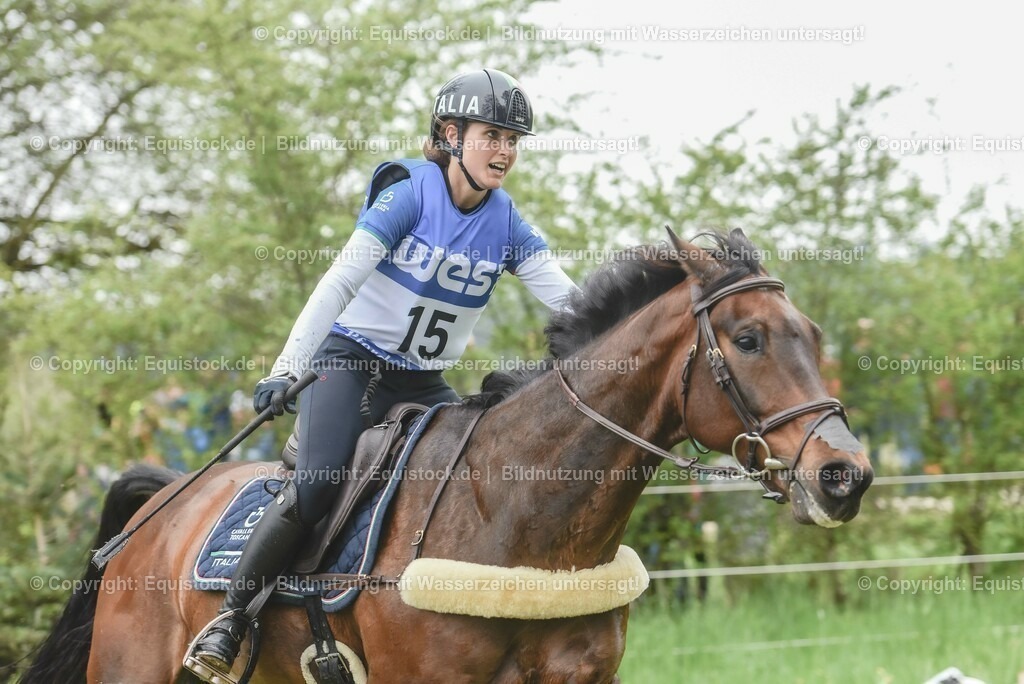 20230513_CCI4_Gelände_0219 | equistock