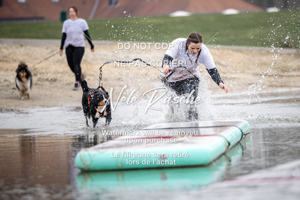 nelerasche_Hulsbeek_Sa1130-1230_364 | nelerasche