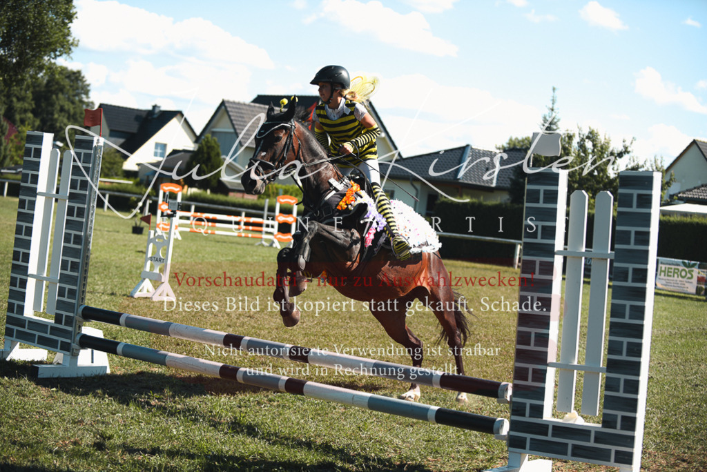 DSC_7670 | Pferde- und Turnierfotografie in Westsachsen. Pferdeportraits, Auftragszeichnungen und intuitive Kunst.
