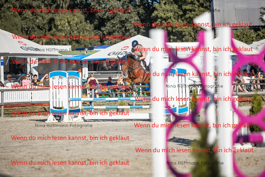 BK1A7710 | Turnierbilder Turnierfotos Nina Hüffmann Turnierfotografie Pferdefotografie Tierzeichnung Haustierzeichnung Pferdezeichnung Hundezeichnung Videograf  - Realisiert mit Pictrs.com