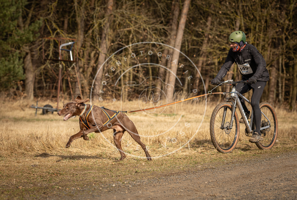 DV3A4356 | Hundefotografie, Tierfotograf, Pfotenfotografie, Fotoshooting Hund, Hunde Portrait, Hundesport, Hundeportraits, Heideshooting, Hunde, Sportfotograf, Hundefotograf, Turnierhundsport, THS,  - Realisiert mit Pictrs.com