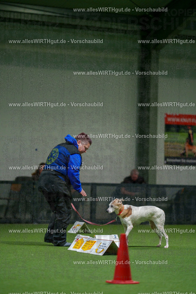 7R504534 | Professionelle Tierfotografie in Mönchengladbach von Daniel Wirth (allesWIRTHgut). Liebevolle & natürliche Bilder von Hunden & Katzen für unvergessliche Erinnerungen.