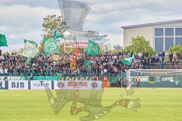 BFC Dynamo vs. BSG Chemie Leipzig  005 | mythos-online-redaktion