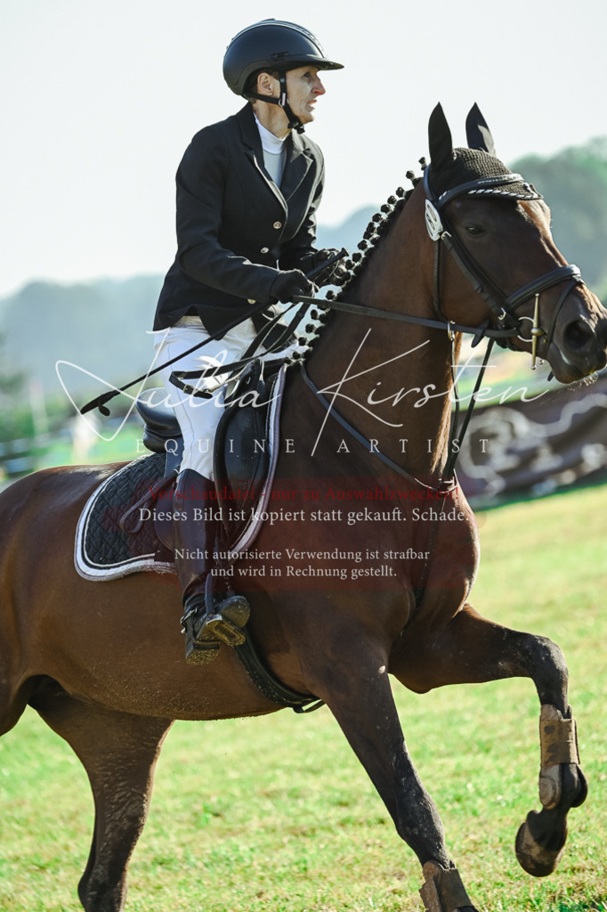 DSC_4415 | Pferde- und Turnierfotografie in Westsachsen. Pferdeportraits, Auftragszeichnungen und intuitive Kunst.