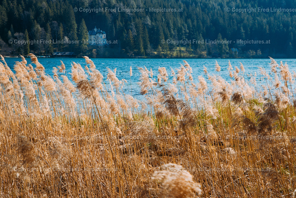 Fruehling im Mariazellerland 230402020-29236 | Fotos und Fotoprodukte - Realisiert mit Pictrs.com