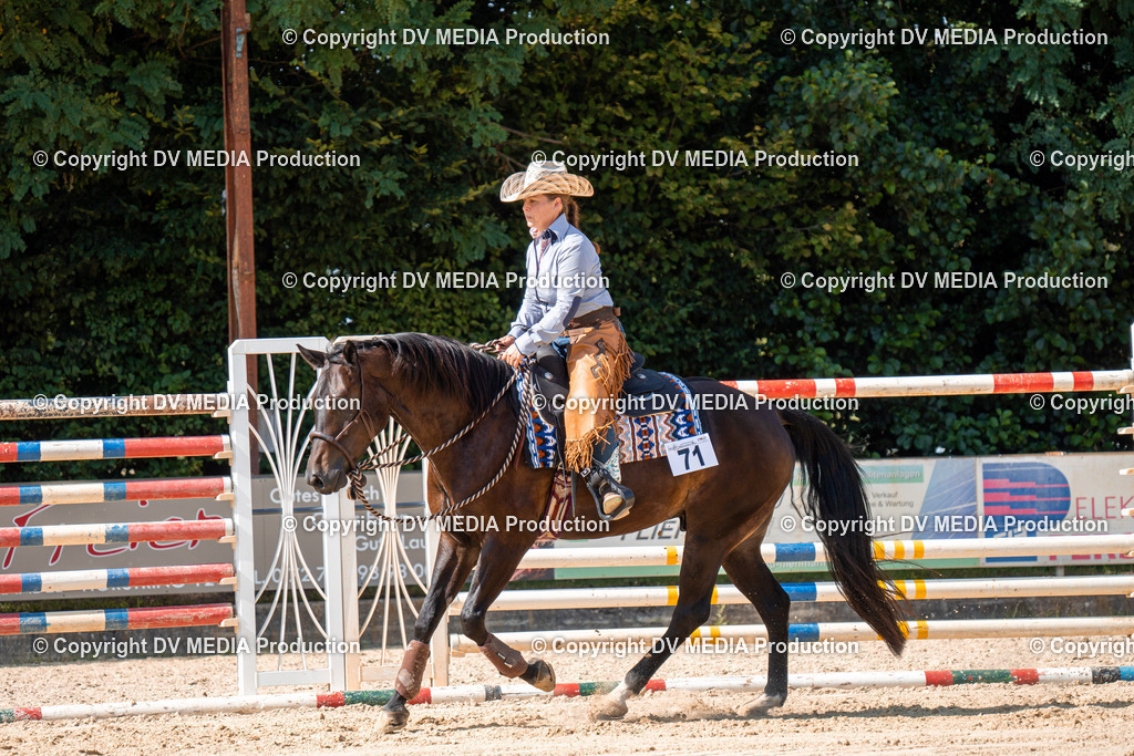 ZH100333 | dv-media-shop - Realisiert mit Pictrs.com