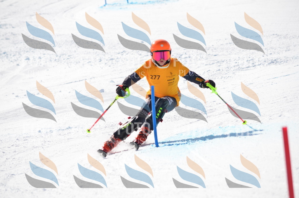 C8619 | holidayphoto