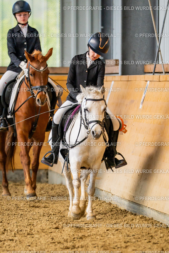 DSC03494 | Pferdegrafie