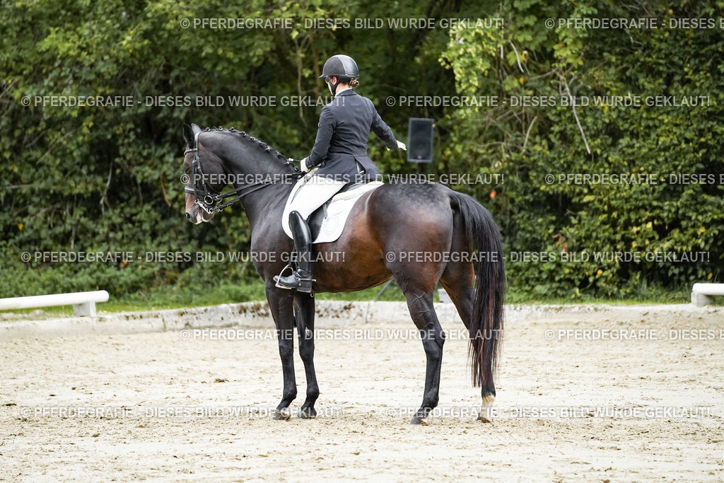 DSC00492 | Pferdegrafie