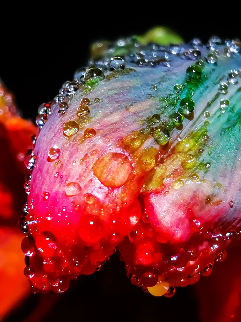 PSX_20230405_230811 | mtkfoto_ - Realisiert mit Pictrs.com