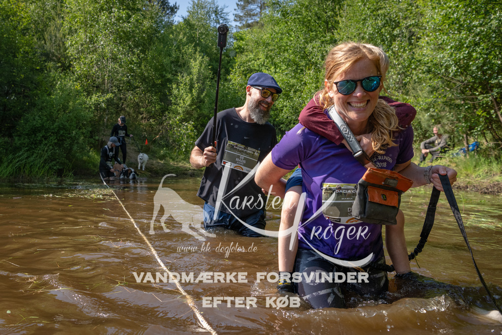 1629DKK990680 | kk-dogfotos
