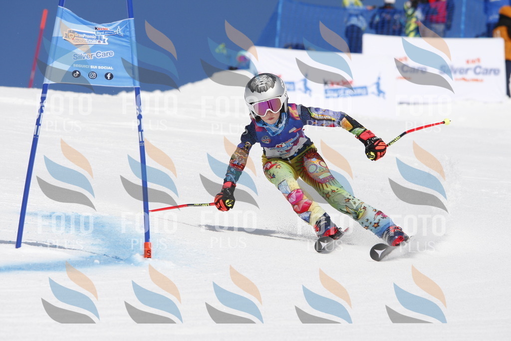 _W1G1542 | holidayphoto