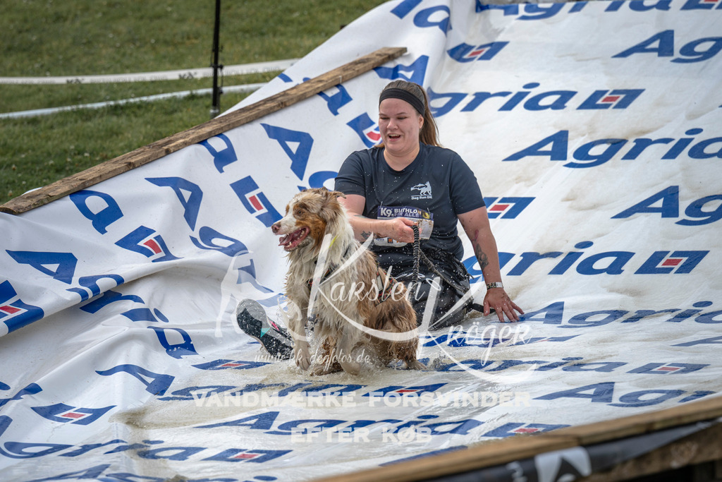 1546_ZZ96550 | kk-dogfotos