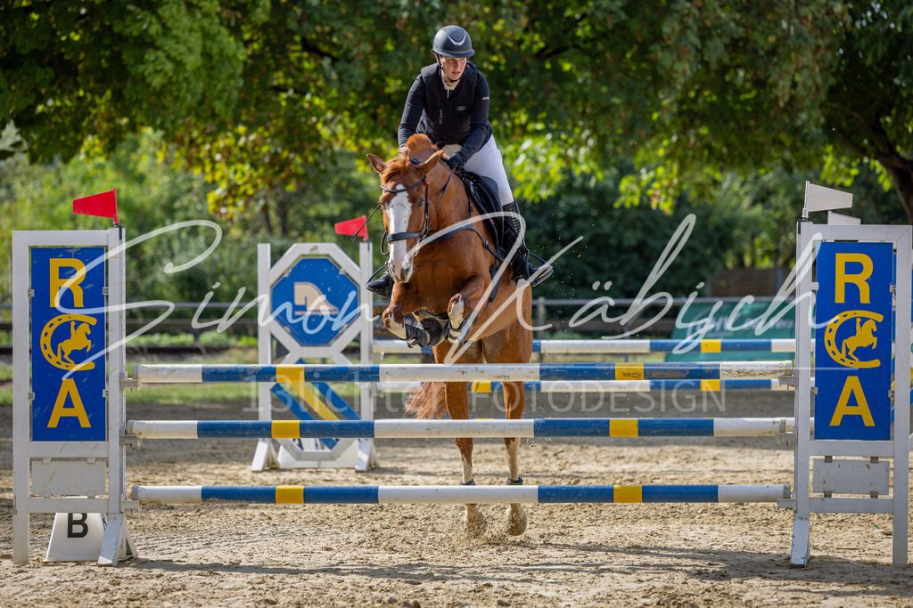 20260905-_3LI7414 | Tierfotografie Pferde, Hunde, Katzen, Haustiere.
Turnierfotografie Reitturniere, Reiten, Springreiten, Dressur in Hanau, dem Main-Kinzig-Kreis und dem Rhein-Main- Gebiet um Frankfurt