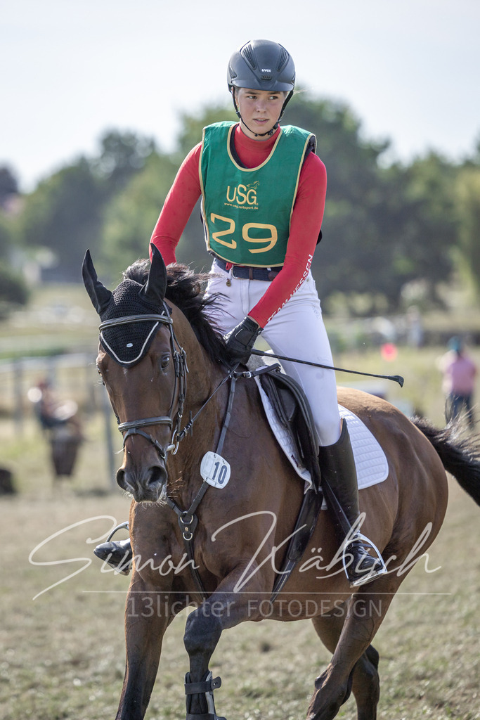 20250907-_3LI3072 | Tierfotografie Pferde, Hunde, Katzen, Haustiere.
Turnierfotografie Reitturniere, Reiten, Springreiten, Dressur in Hanau, dem Main-Kinzig-Kreis und dem Rhein-Main- Gebiet um Frankfurt