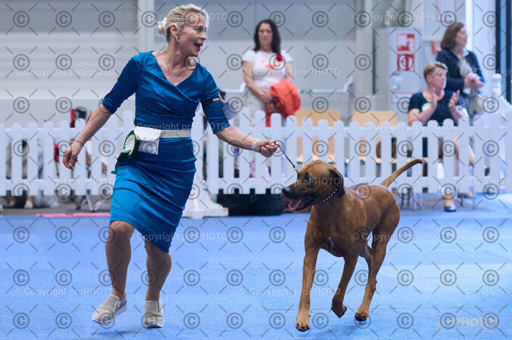 202406_ÖKV-IHA-Tulln24_DSC_3971 | proPHOTO - Realisiert mit Pictrs.com