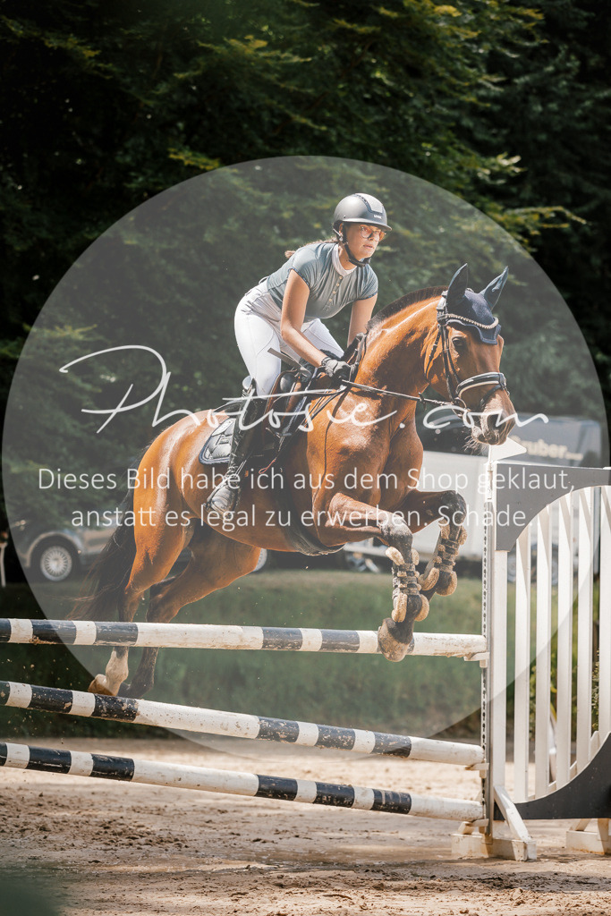 3I6A8022 | Stimmungsvolle Portraits und Reitsportfotografie im Ruhrgebiet und im Münsterland.

Pferdefotografie, Hundefotografie, Tierfotografie, Reportagen, Portraits von Tier und Mensch, Turnierfotografie in Bochum, Recklinghausen, Marl, Haltern am See, Dülmen.. - Realisiert mit Pictrs.com