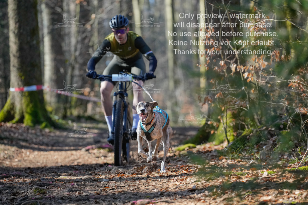 Bike_So-9 | stephaniefillaphotographie - Realisiert mit Pictrs.com