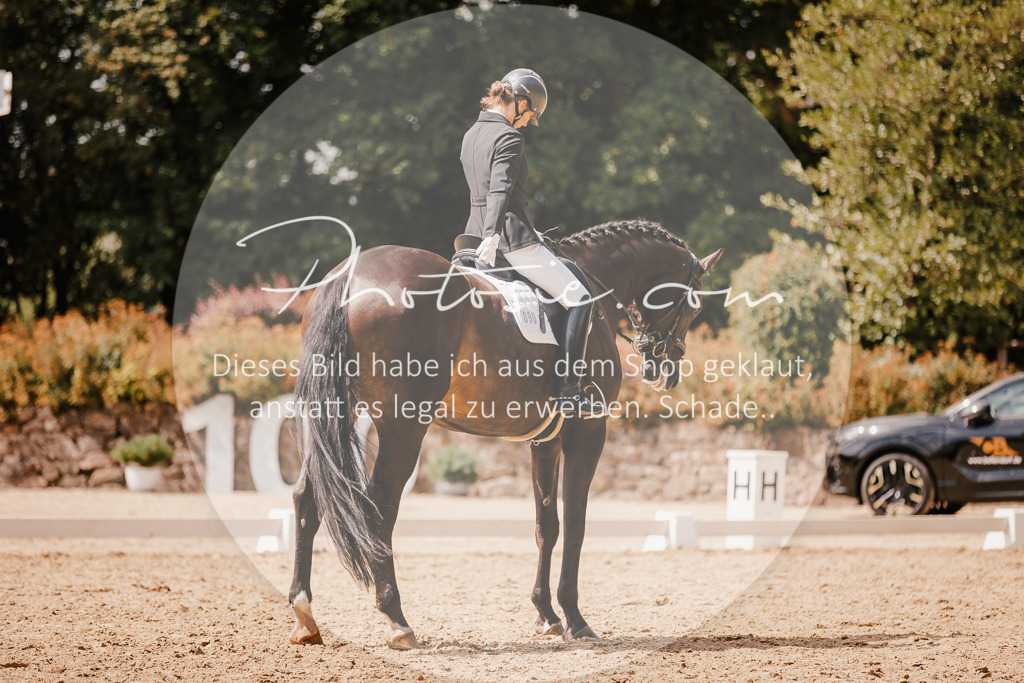 3I6A6109 | Stimmungsvolle Portraits und Reitsportfotografie im Ruhrgebiet und im Münsterland.

Pferdefotografie, Hundefotografie, Tierfotografie, Reportagen, Portraits von Tier und Mensch, Turnierfotografie in Bochum, Recklinghausen, Marl, Haltern am See, Dülmen.. - Realisiert mit Pictrs.com