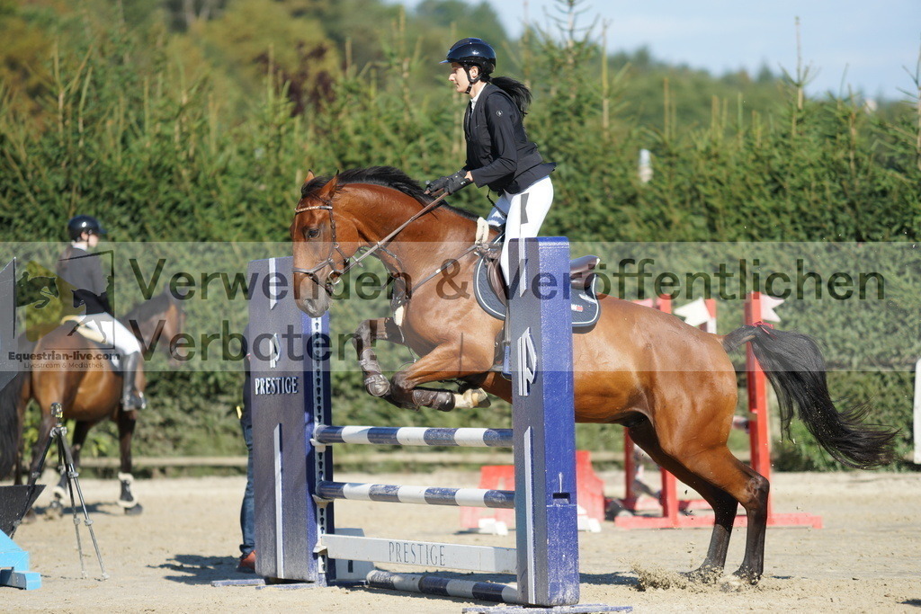 DSC09556 | equestrian-live-com