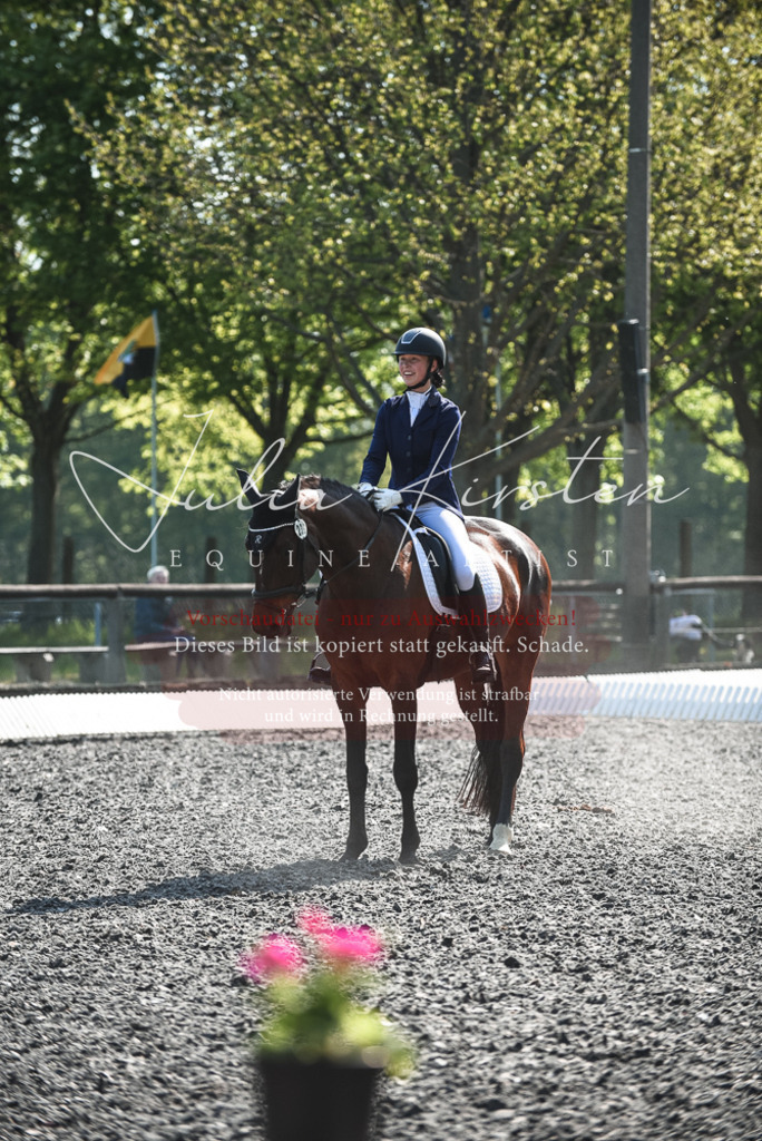 DSC_8796 | Pferde- und Turnierfotografie in Westsachsen. Pferdeportraits, Auftragszeichnungen und intuitive Kunst.