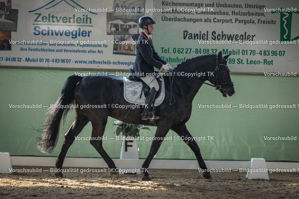 _D5A8510 | Emotionale Pferde- & People-Fotografie rund um Heidelberg, Leimen & Umgebung. Natürliche Fotos von Pferd, Mensch & Familie. Jetzt Termin sichern!