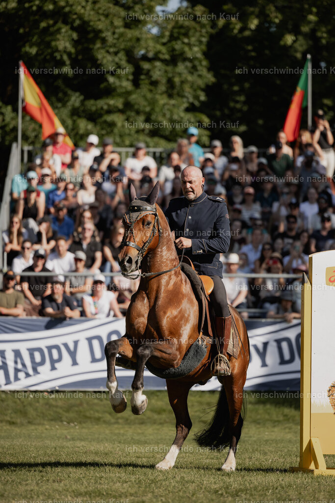 WE_MOS_Stoib_327_PI2025_2426 | Pferd International München 2025